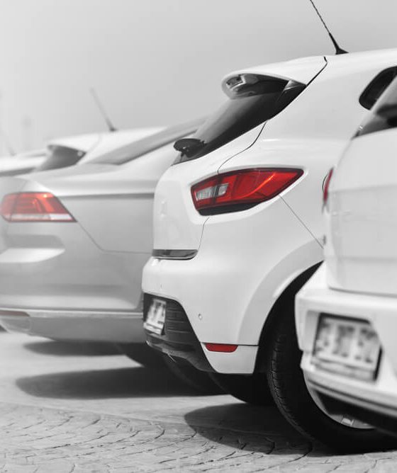 Line of white cars - cheap car insurance.