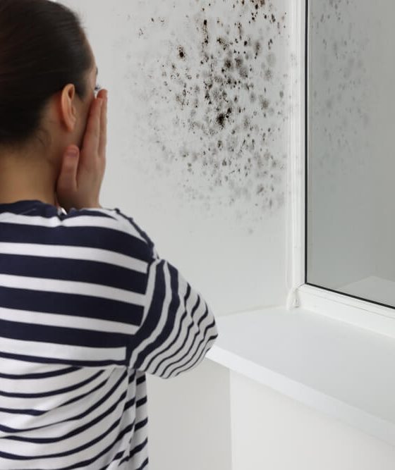 Dismayed woman finds a patch of black mold on her wall.