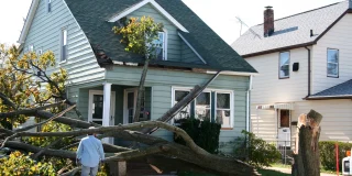Damaged home from tree collapse due to stormy weather.
