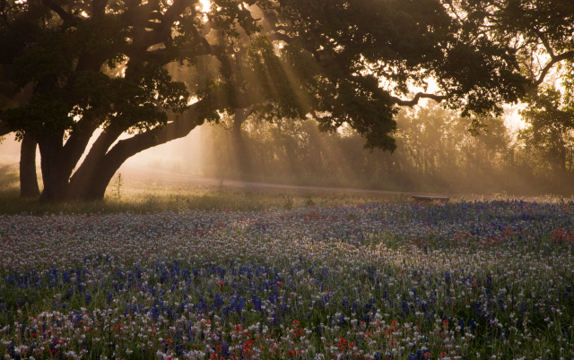 Old historic shopping center of family Schreiners in Kerrville, Texas, USA – Kerrville, cheap car insurance in Texas