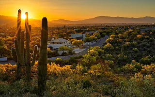 Houses between Saguaros in Tucson, Arizona – Tucson, cheap car insurance in Arizona