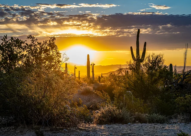 Sunrise In San Tan Valley Arizona cheap car insurance in Arizona